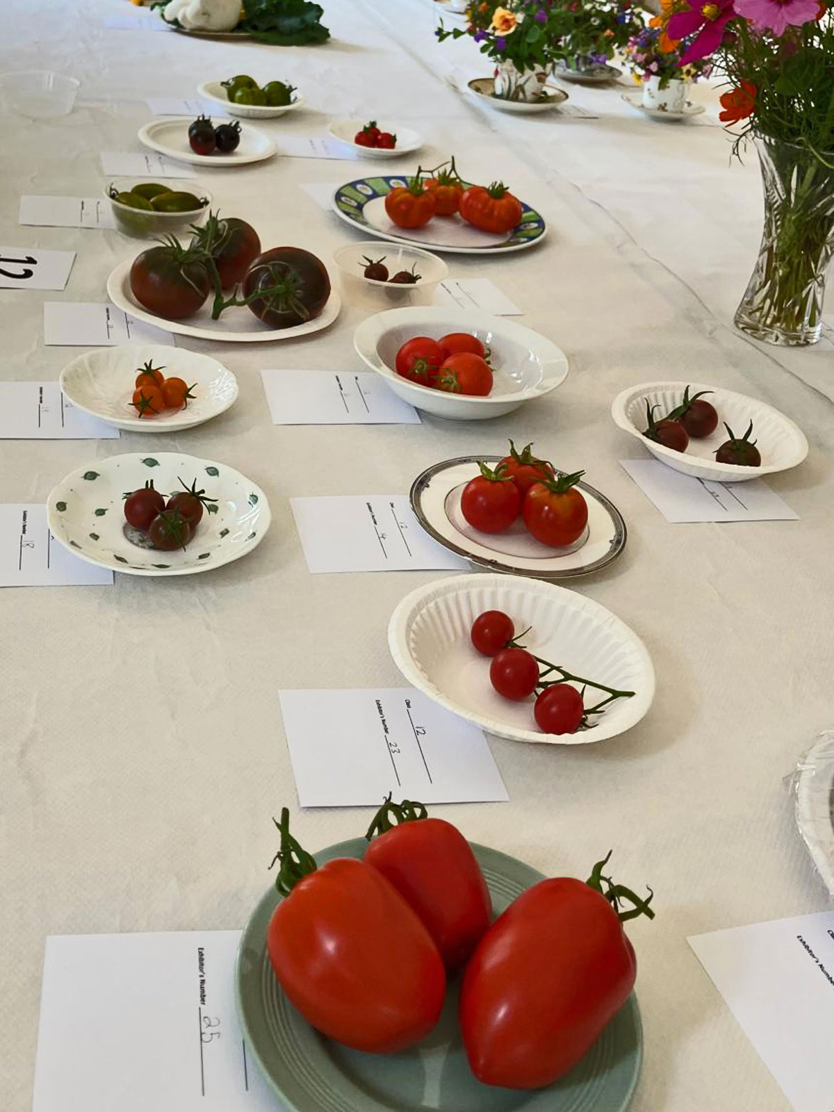https://0501.nccdn.net/4_2/000/000/071/260/tomatoes.jpg