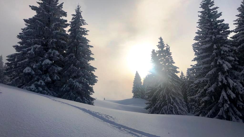 18. März 2021 Über Stubneralm auf den Pillstein, Zwölferhorn, Illingeralm, Tiefbrunnau
