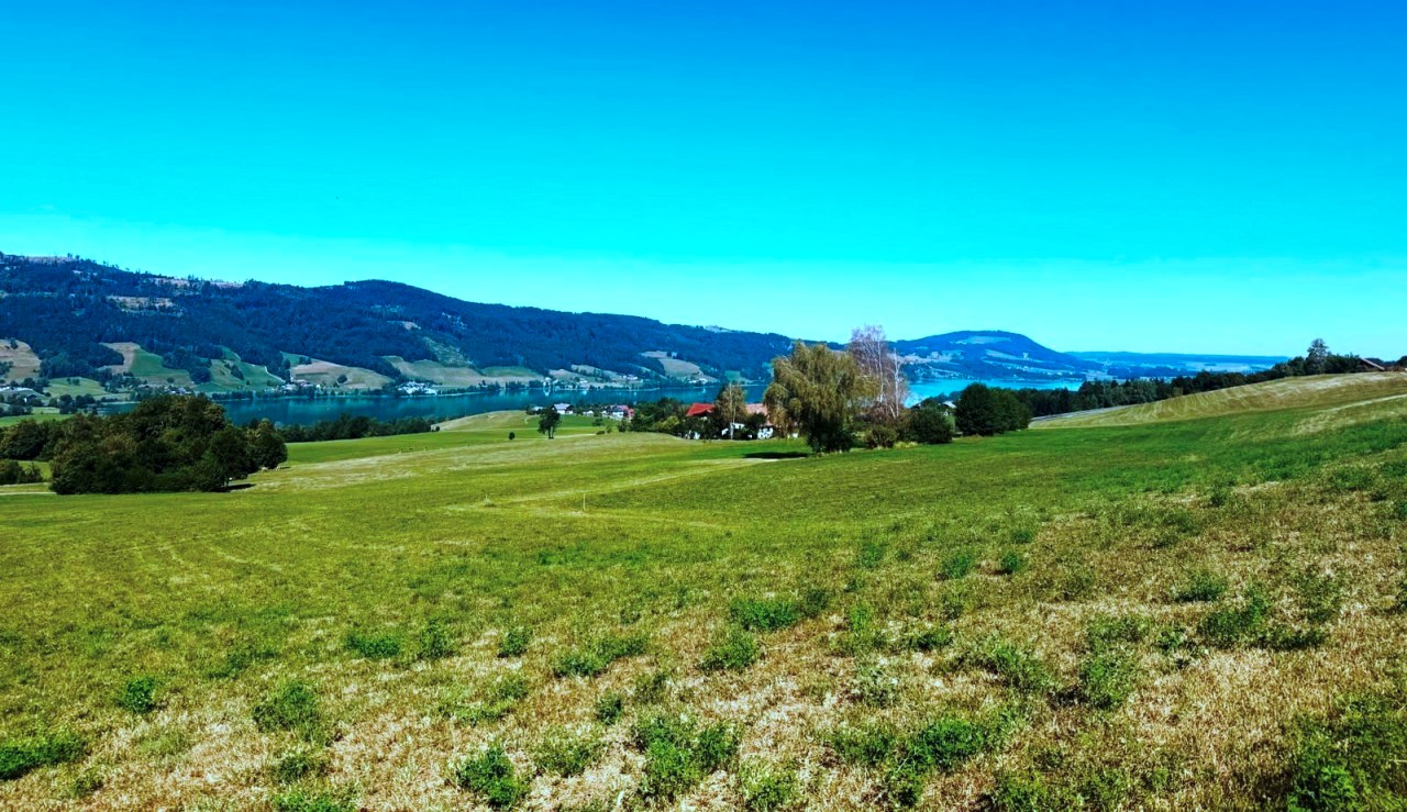 Am Irrsee