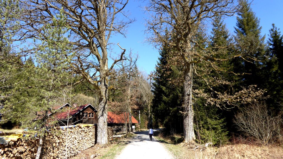 6. April 2020    Zur Schranne im Kobernaußerwald