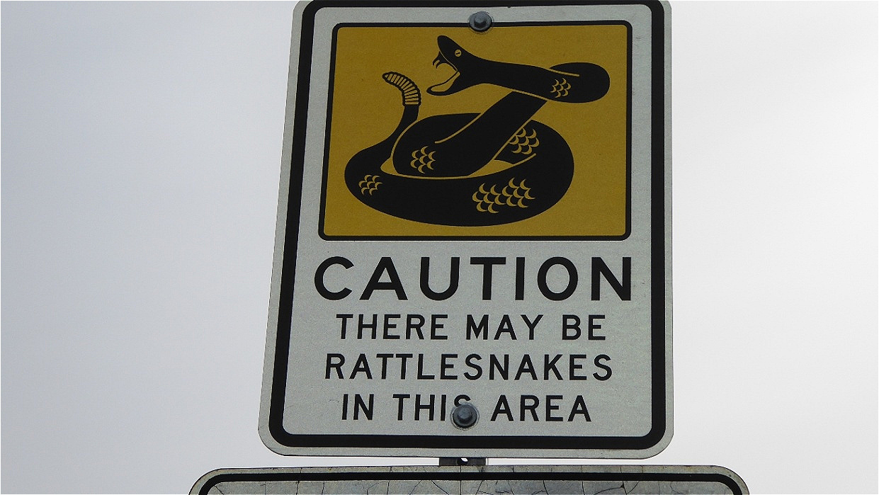 Hier soll es Klapperschlangen geben !
