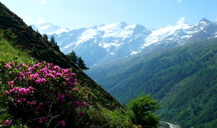 Hoch über dem Talboden