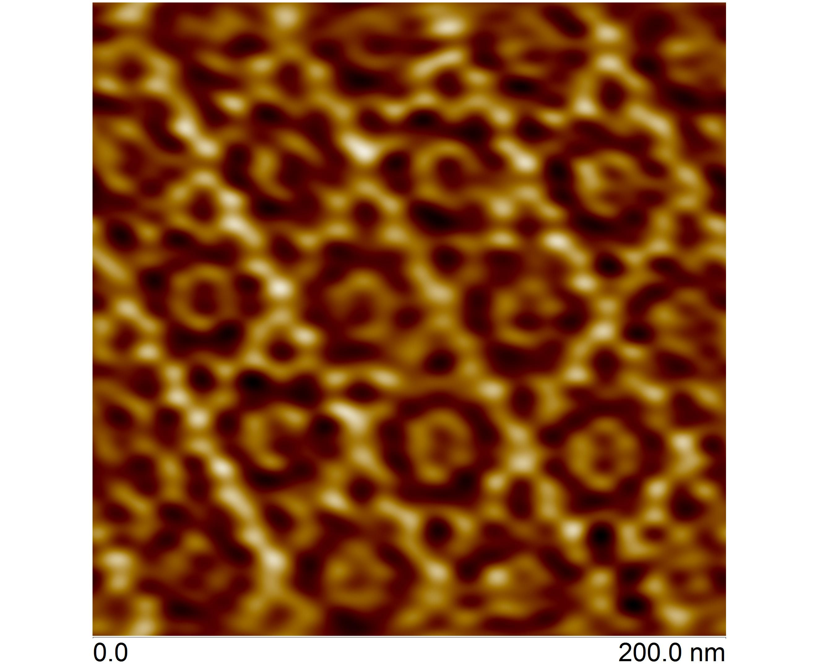 Anexyn crystalization on a lipid bilayer