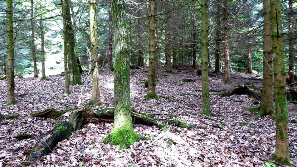 Die Jahrtausende ließen den Grabhügel auseinanderfließen