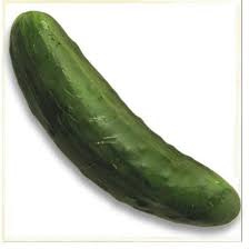 CONCOMBRE