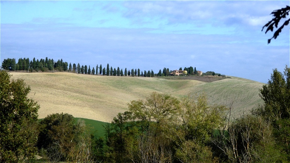 In der Crete Senesi - kurz nach Buonconvento