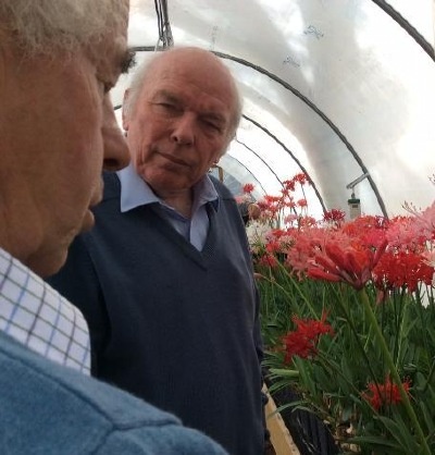Deep discussion between the experts!
Many of the plants now in Steve's capable hands were seedlings bred by Chris.
