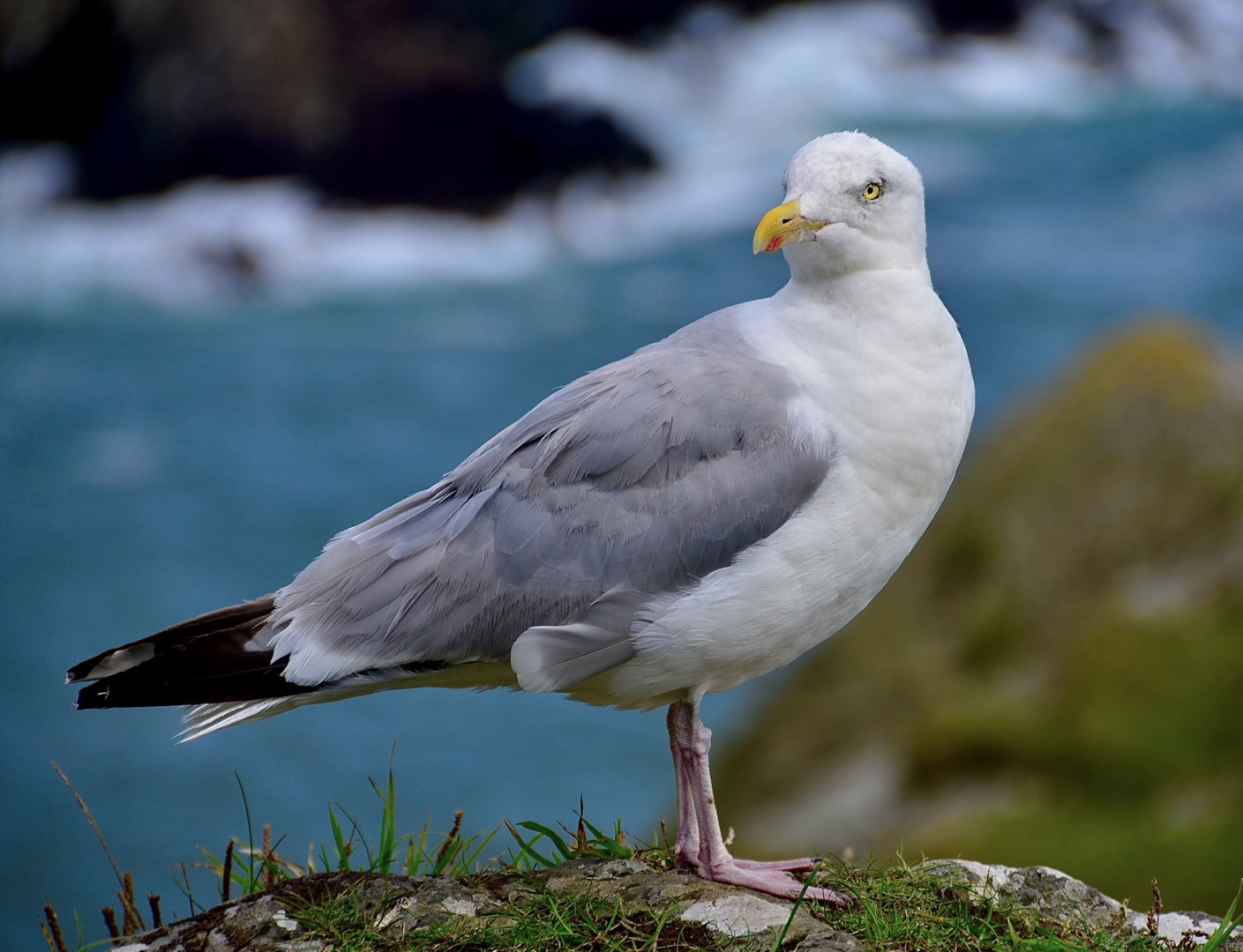 2nd Place: I've Got My Eye On You (Martin Edwards)