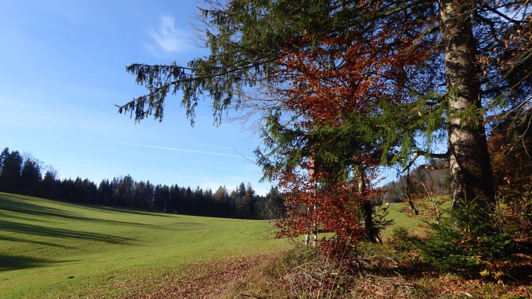 Schlossberg mit Steigweg - 23. November 2019