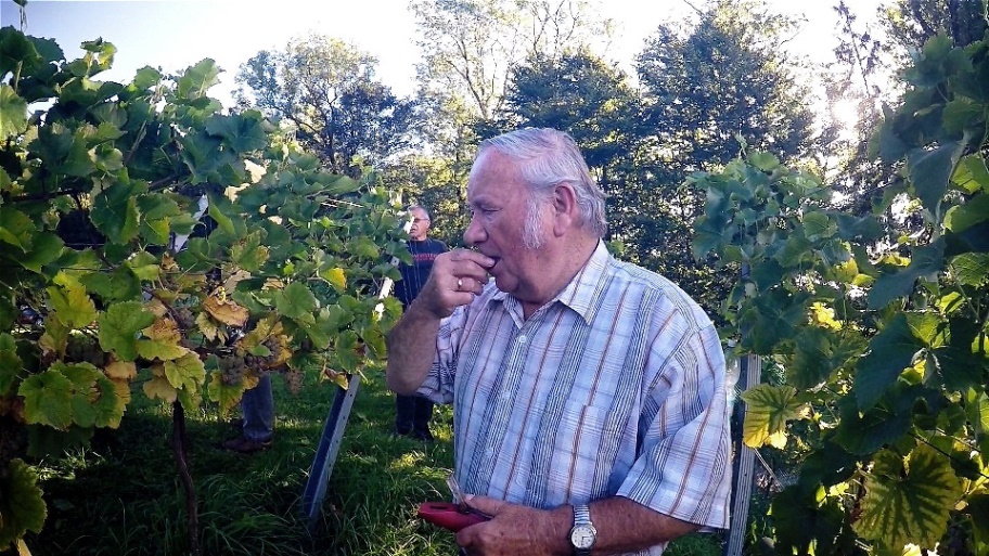 2015_09_17  Weinernte - Kostprobe