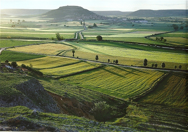 Blick zurück auf Castrojeriz