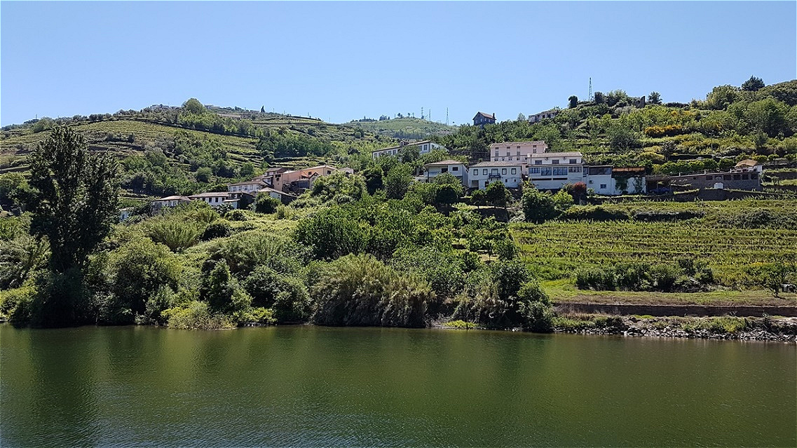 Üppige Vegetation