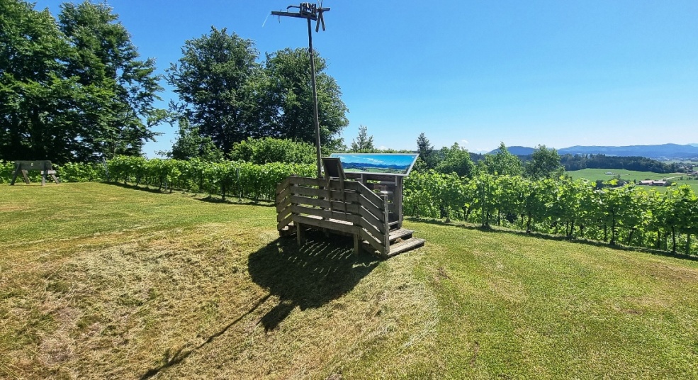 Unser Weingarten auf der Burgstall