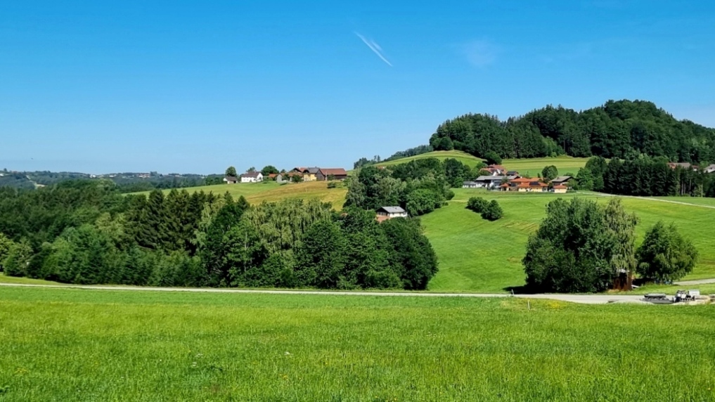 https://0501.nccdn.net/4_2/000/000/076/de9/20260704_kobernau%C3%9Fen.jpg