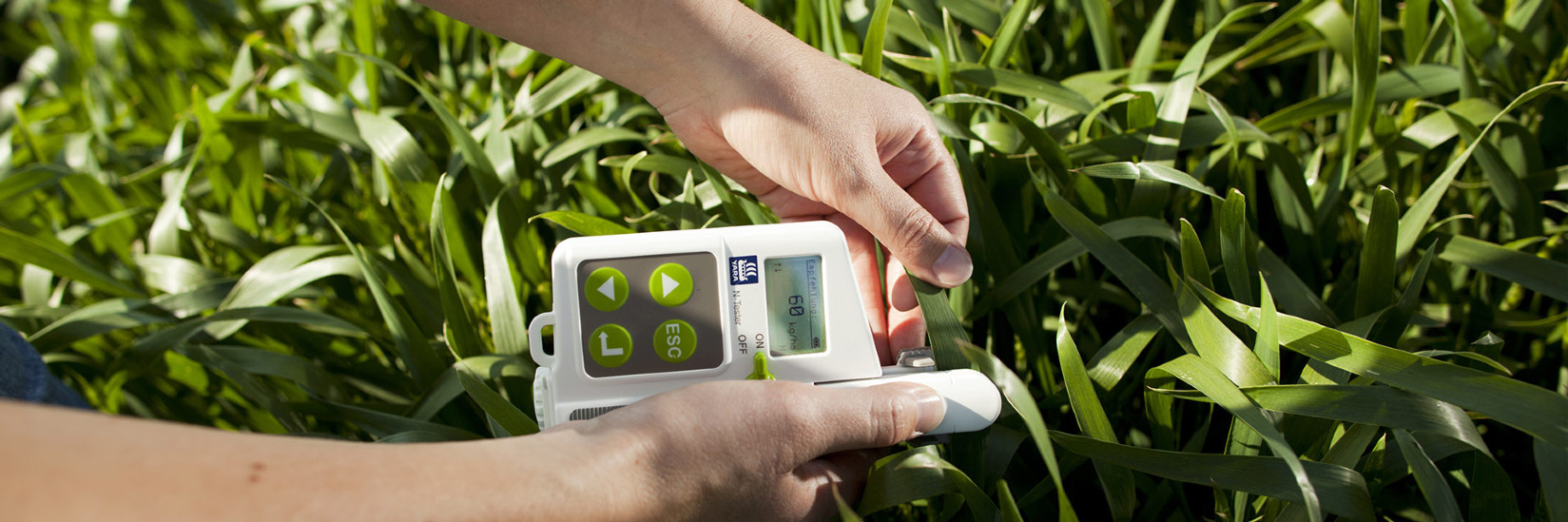 <h2>Prodajni program</h2>
<h3>Mineralna gnojila  //  
Krma za ribe  //  
Šarenka</h3>