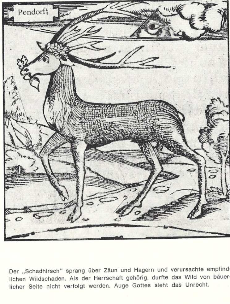 Der Schadhirsch