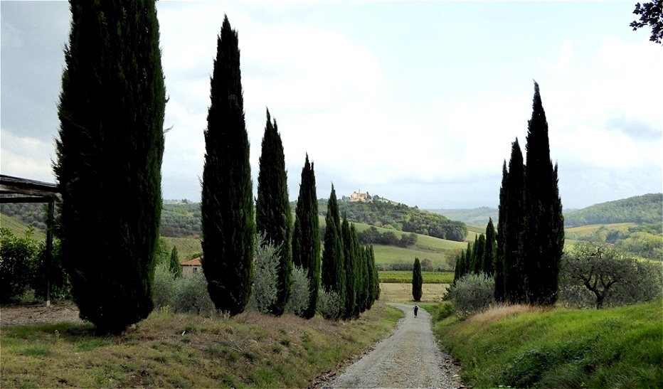 Noch liegen einige Kilometer des Weges vor uns !