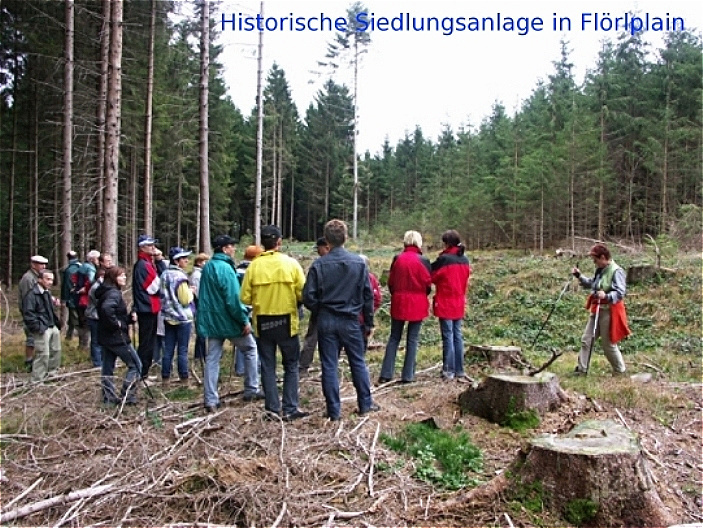 Plateau im Wald - historische Siedlungsanlage