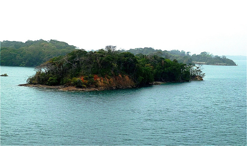 Inselwelt im Gatun See