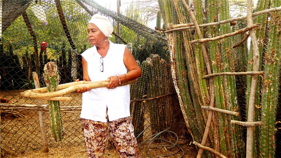 Sie erklärt die Handhabung einfacher Werkzeuge