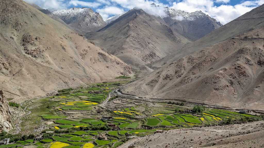 Leh - Indien - landwirtschaftlich genutztes Flusstal