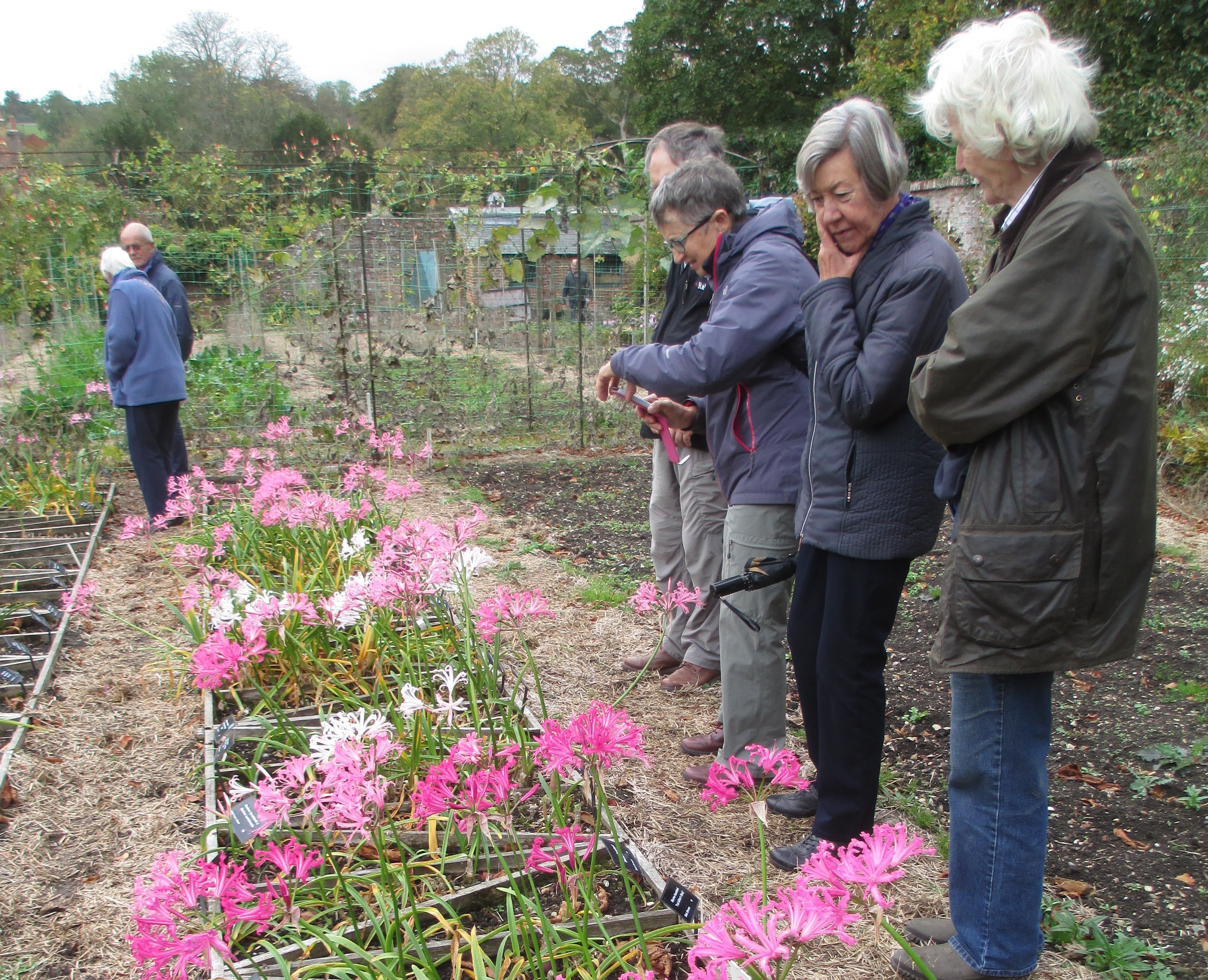 VIctoria Wakefield showing some of the trial beds to NAAS members.