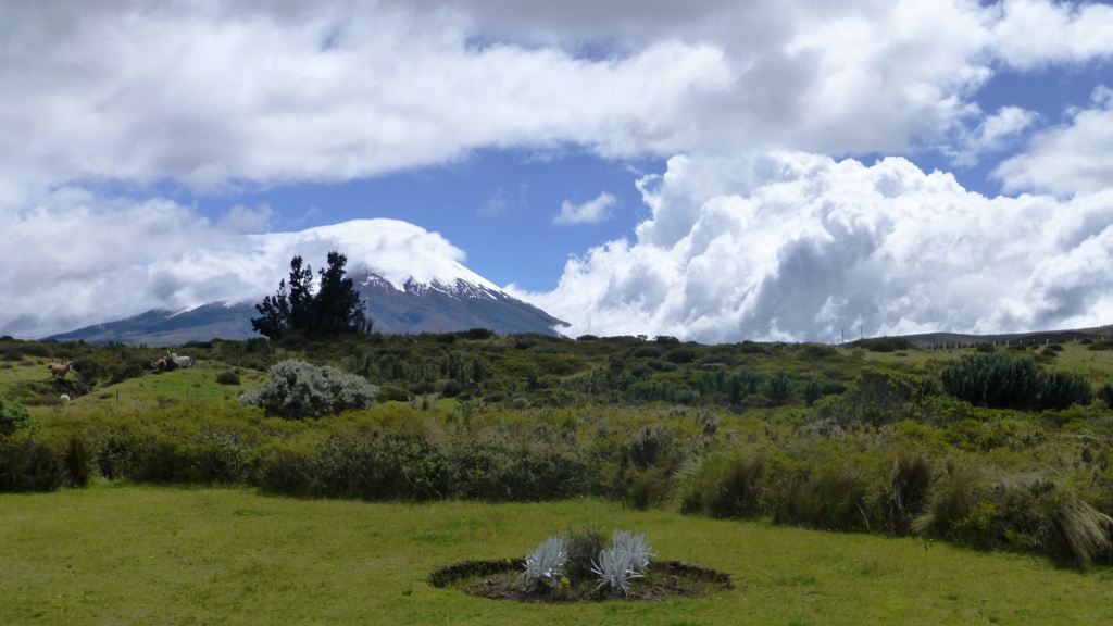 Unser Ziel - der aktive Vulkan Cotopaxi