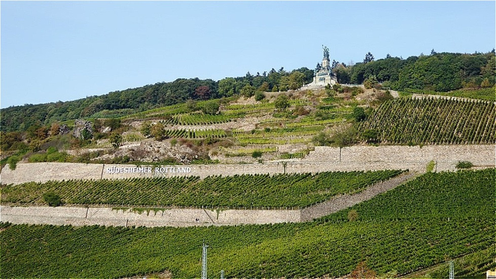 Am Rüdesheimer Berg befinden sich die besten Weinlagen Deutschlands