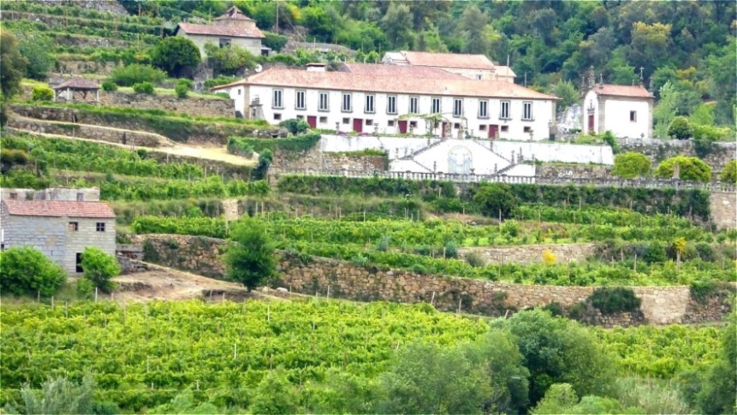 Quinta - Weinbaubetrieb
