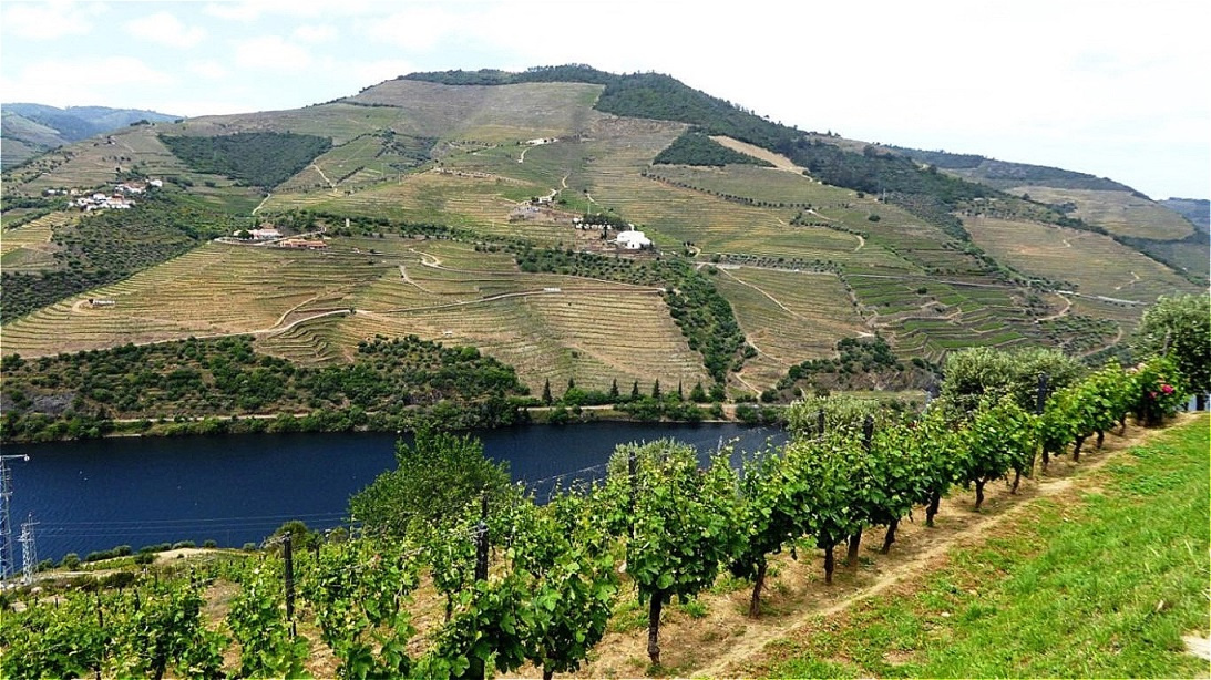 Unter uns der Douro