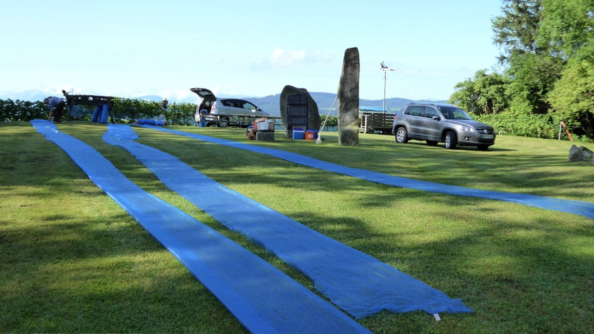 1. August 2019 - Grasmahd und Anbringung der Schutznetze