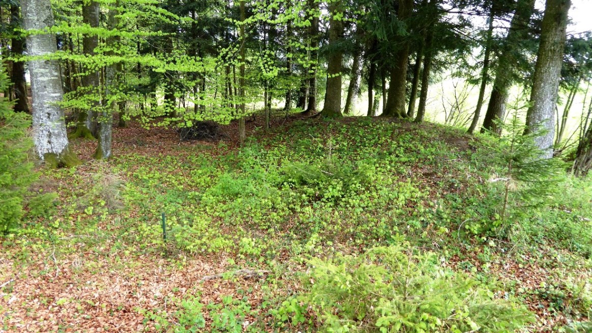 Blick ins Innere von SW mit südlichem Wall