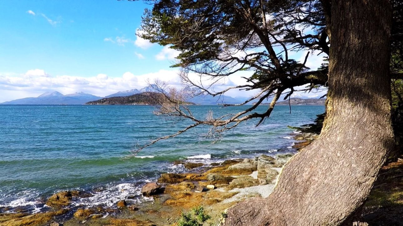 Blick hinaus auf den Beagle Kanal