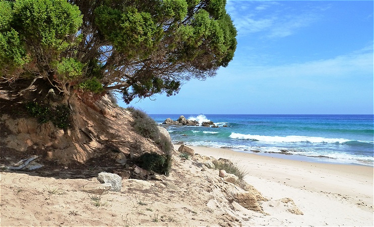 Strandidylle