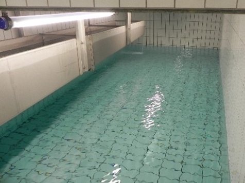 Zwischenbehälter Steindlberg Innenansicht