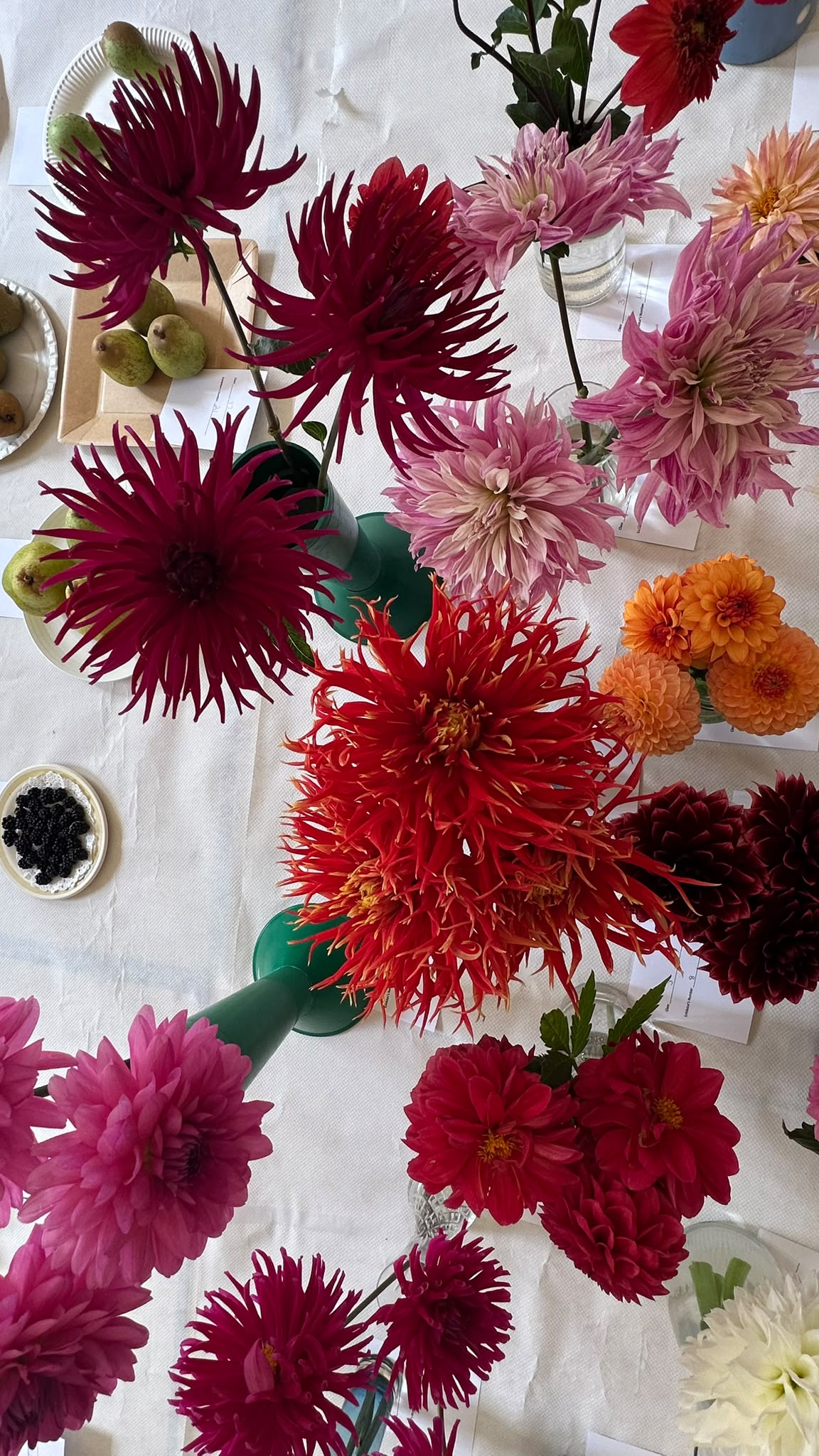 https://0501.nccdn.net/4_2/000/000/076/de9/dahlias.jpeg