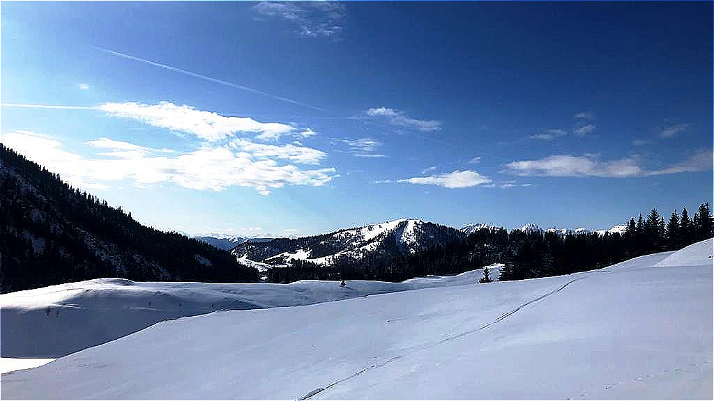 7. März 2021 Postalm