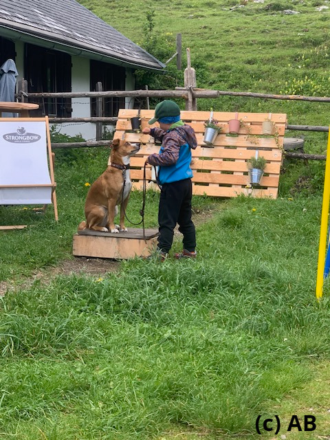 Hindernis 3 - Kurzer Stopp auf dem Podest