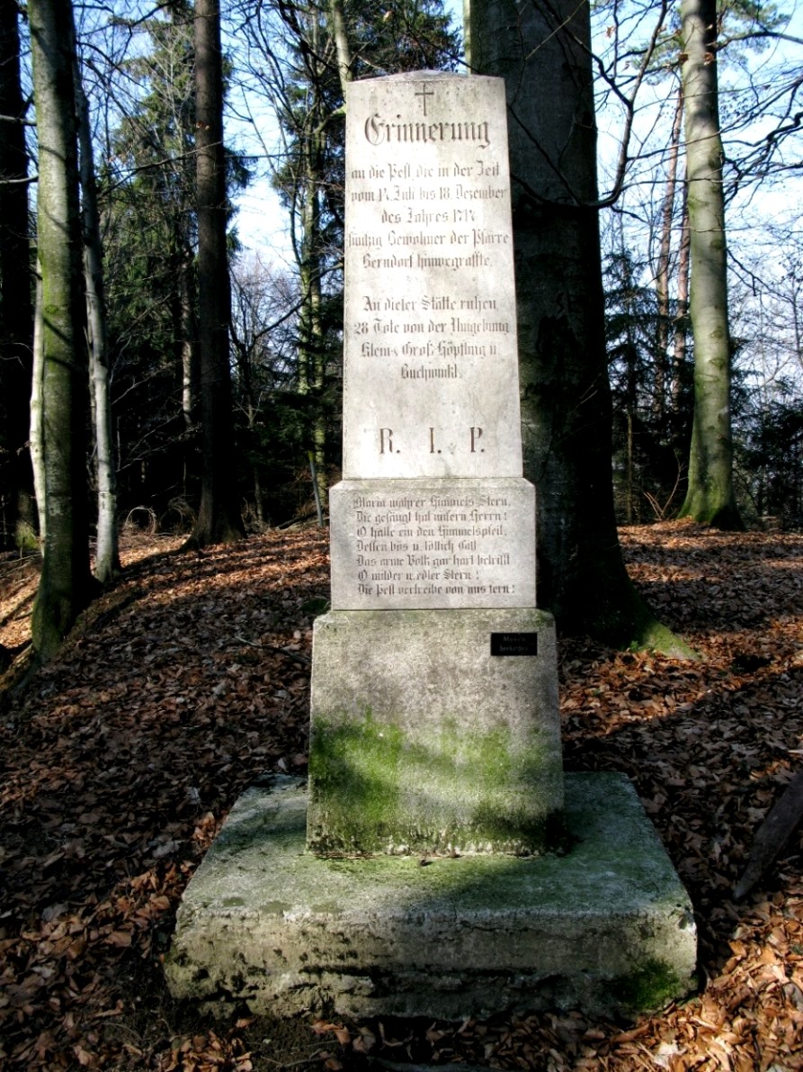 Pestsäule in Berndorf-Salzburg