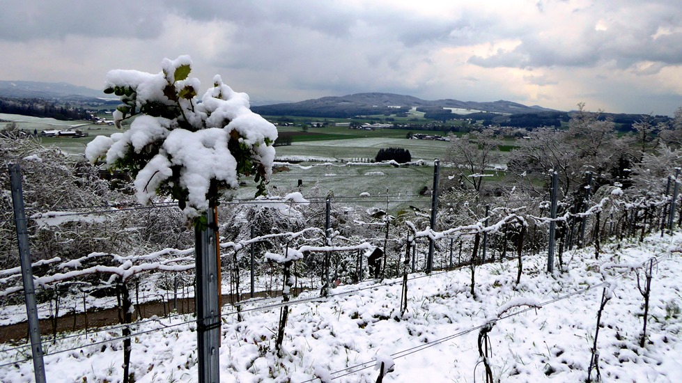 2017_04_19  Kälteeinbruch