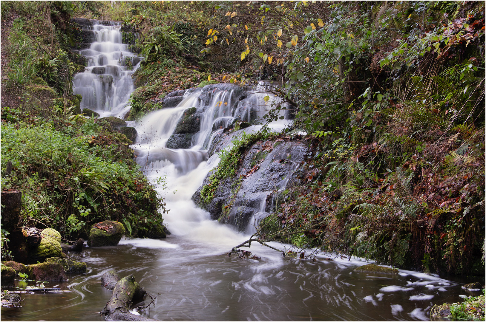 Joint 3rd Place: Waterfall Wv6 (Bryan Organ)