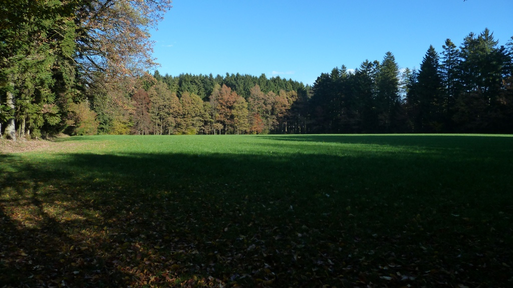 Blick über die Galgenwiese im Galgenholz, Friedburg, Ortschaft Holz
1899 fand man im Galgenholz fünf Grabhügel aus der Zeit um 500 vor Christus. Sie weisen einen Durchmesser von 9 bis 16 m und eine Höhe von 0,5 bis 1 m auf.

