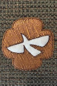 Couverture de Bible ou livre d'heures