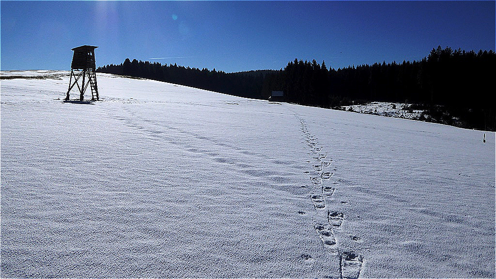 Wanderung Sommerholz