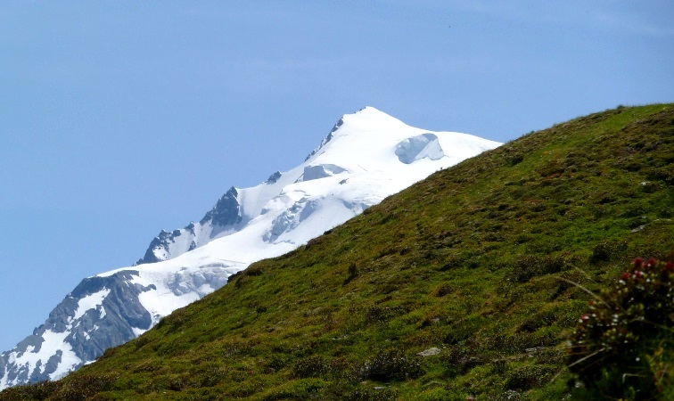 Ewiges Eis über zartem Grün