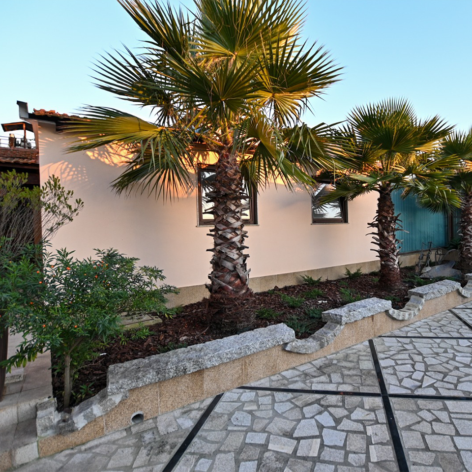 Quinta Jusã