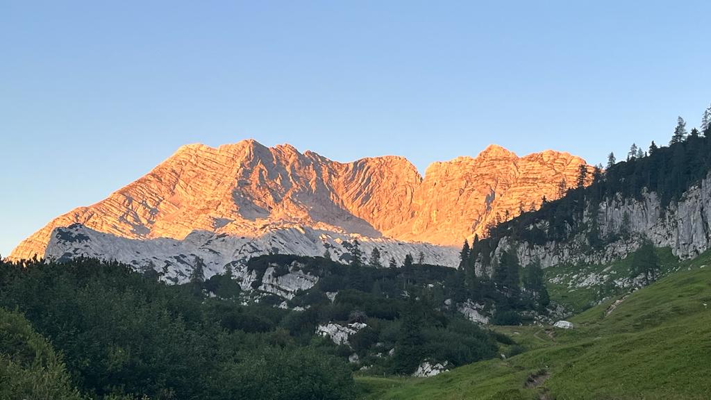 Rotgschirr in der Abendsonne