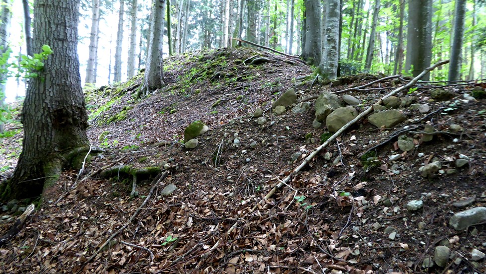 Verstreute Steine der Grabeinfassung