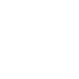 Cogwheel icon