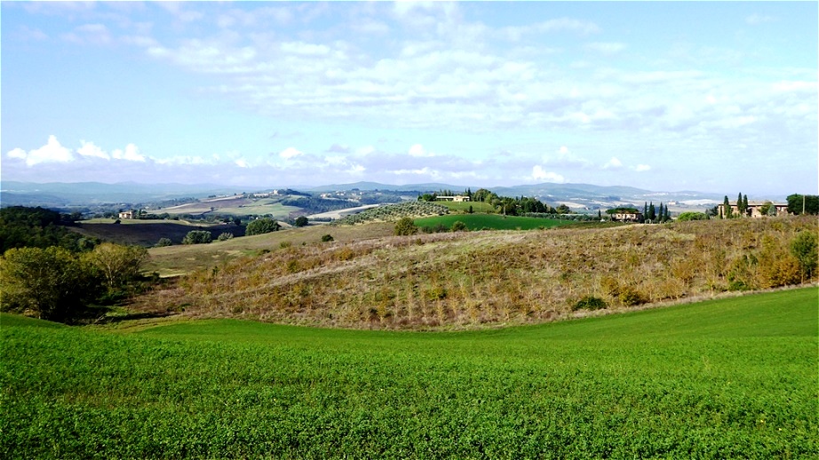Oliven, Wein und Ackerbau dominieren das Landschaftsbild